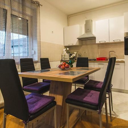 Apartments "Pavic" Near Zagreb Airport Velika Gorica Zewnętrze zdjęcie