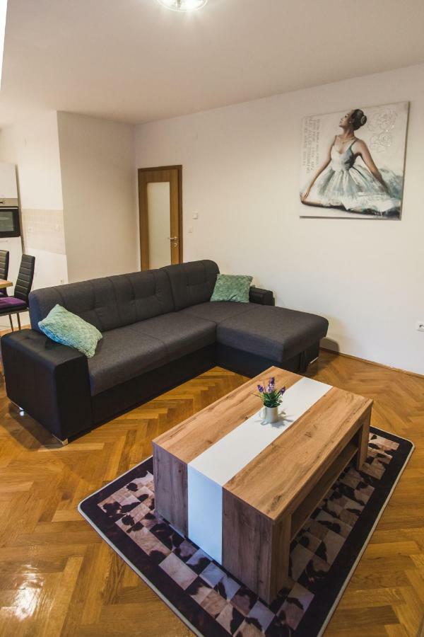 Apartments "Pavic" Near Zagreb Airport Velika Gorica Zewnętrze zdjęcie